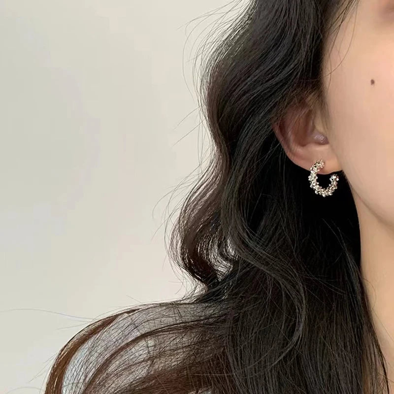 925 Sterling Silver Dangle Earrings for Women