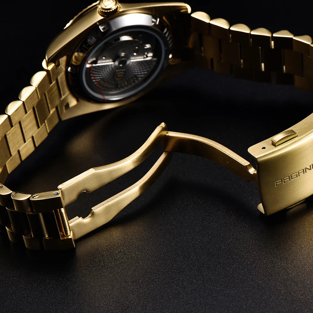 PAGANI DESIGN automatic luxury waterproof men's watch
