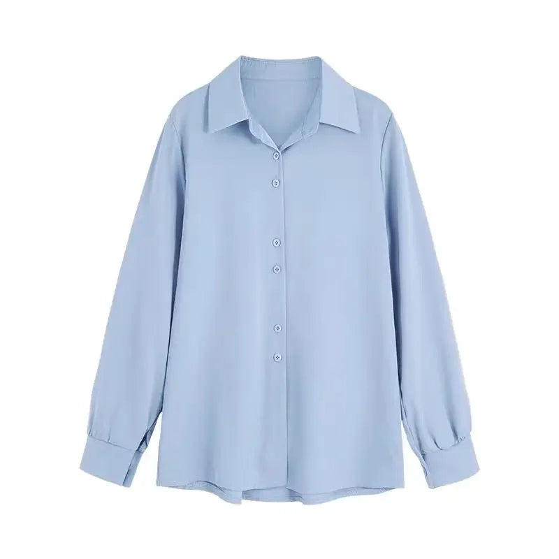 Chiffon Long Sleeve Blouse For Women