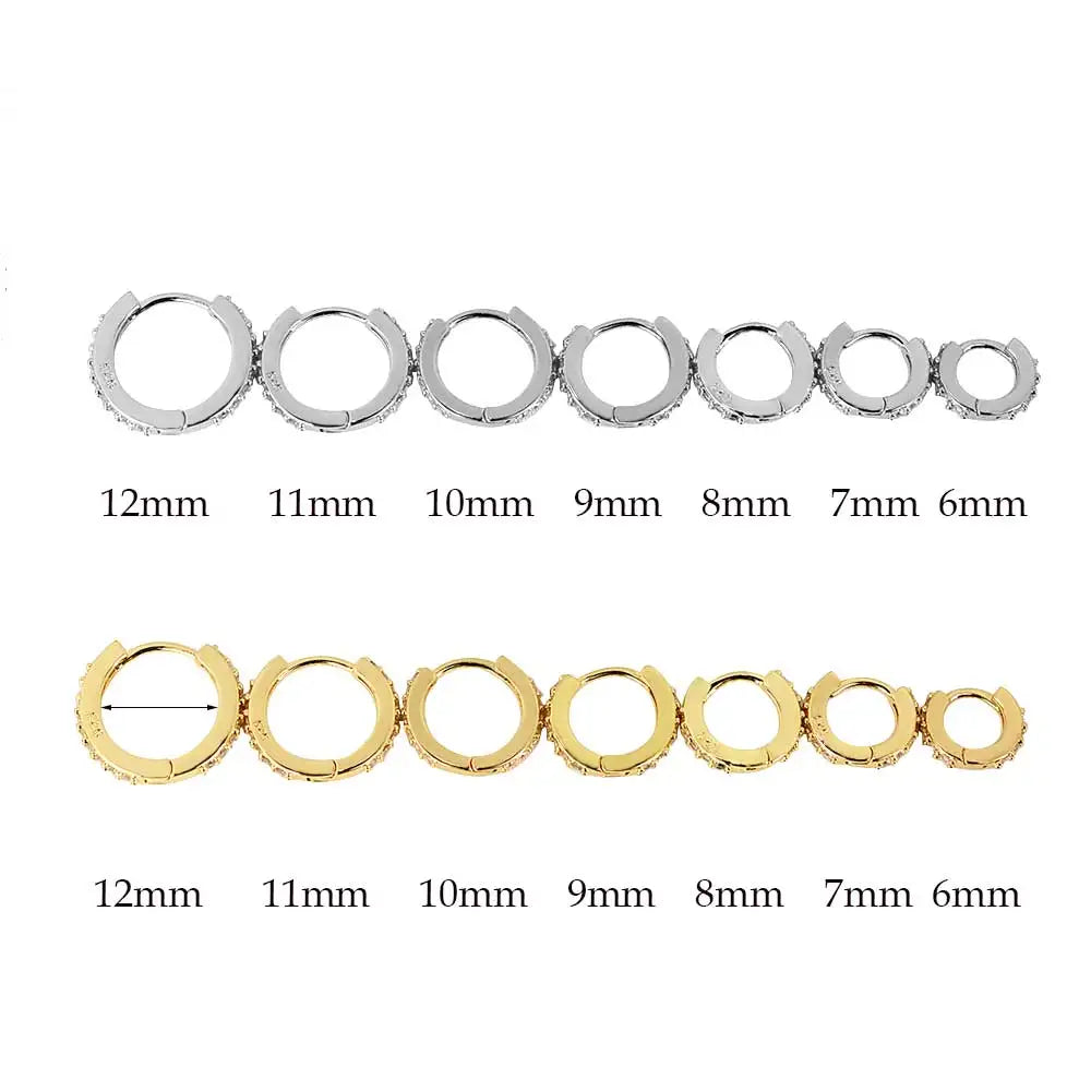 1Pair Stainless Steel Hoop Earrings Zirconia