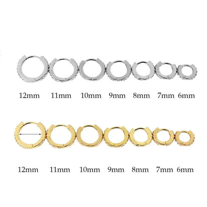 1Pair Stainless Steel Hoop Earrings Zirconia